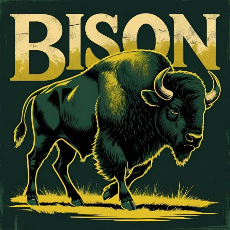 Benton Central Bison